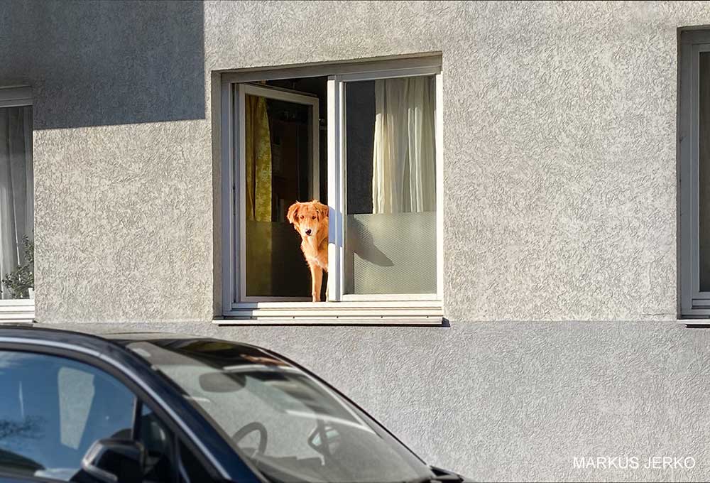 Sonnige Winterfreuden