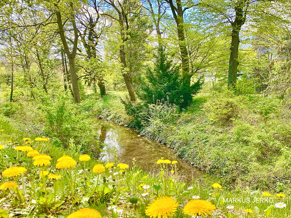 Schlosspark Liesing